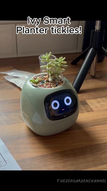 Ivy Smart Planter tickles 😅 #ivy