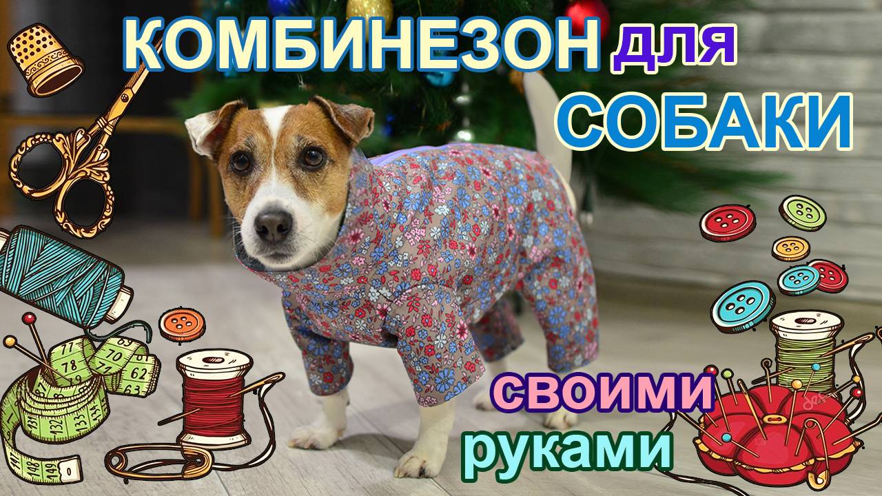 Как сшить комбинезон для собаки своими руками_ пошаговая инструкция