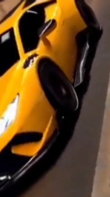 lamborghini urus and ferrari world #lamborghini #ferrari #trending