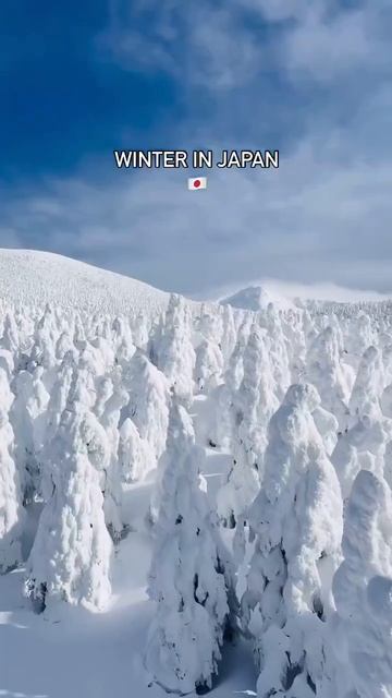 Зима в горах Ямагаты, Япония 🇯🇵