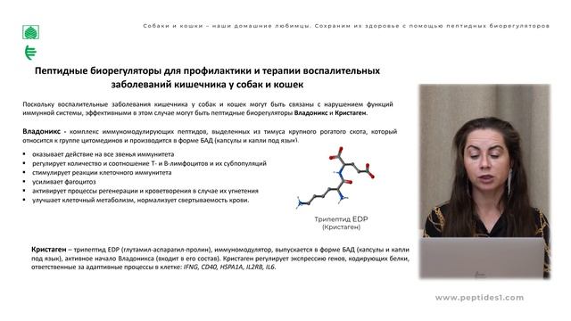 Собаки и кошки   домашние питомцы  Сохраним их здоровье с помощью пептидных биорегуляторов