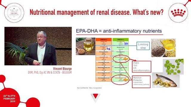 How to treat renal disease through nutritional management in pets