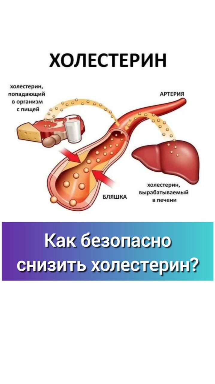 Пиши в личные сообщения "Холестерин" и я расскажу, чем смогу помочь