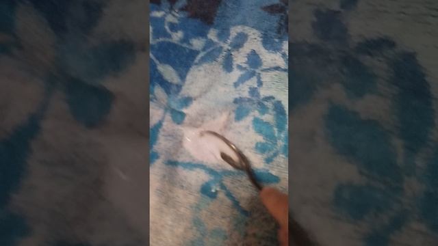 1000042412.mp4