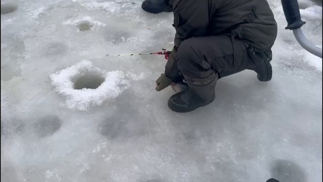 Поимки на запуске