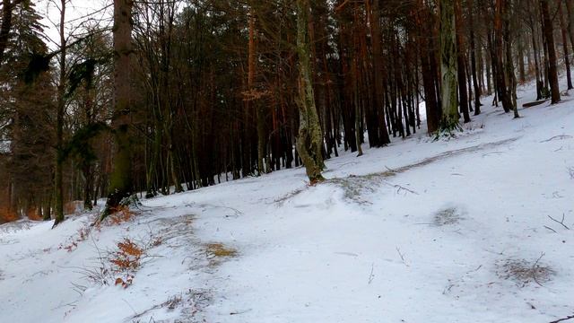 6842047-uhd_3840_2160_30fps