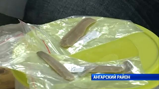 Российская археолого-этнографическая студенческая конференция 2015