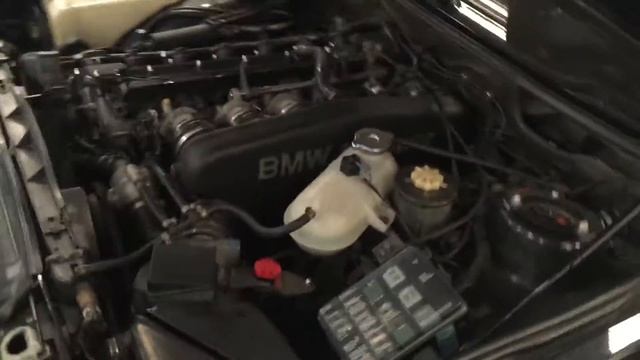 1988 BMW E28 M5 Walkaround