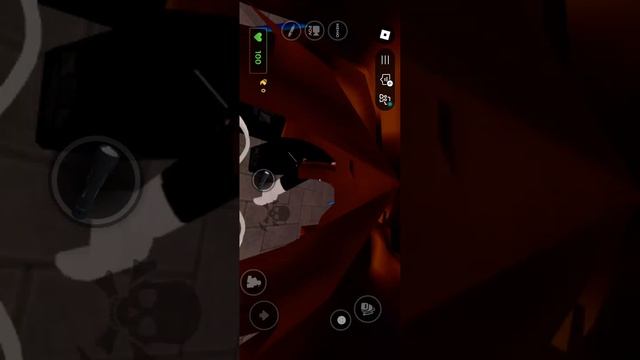 1000006907.mp4