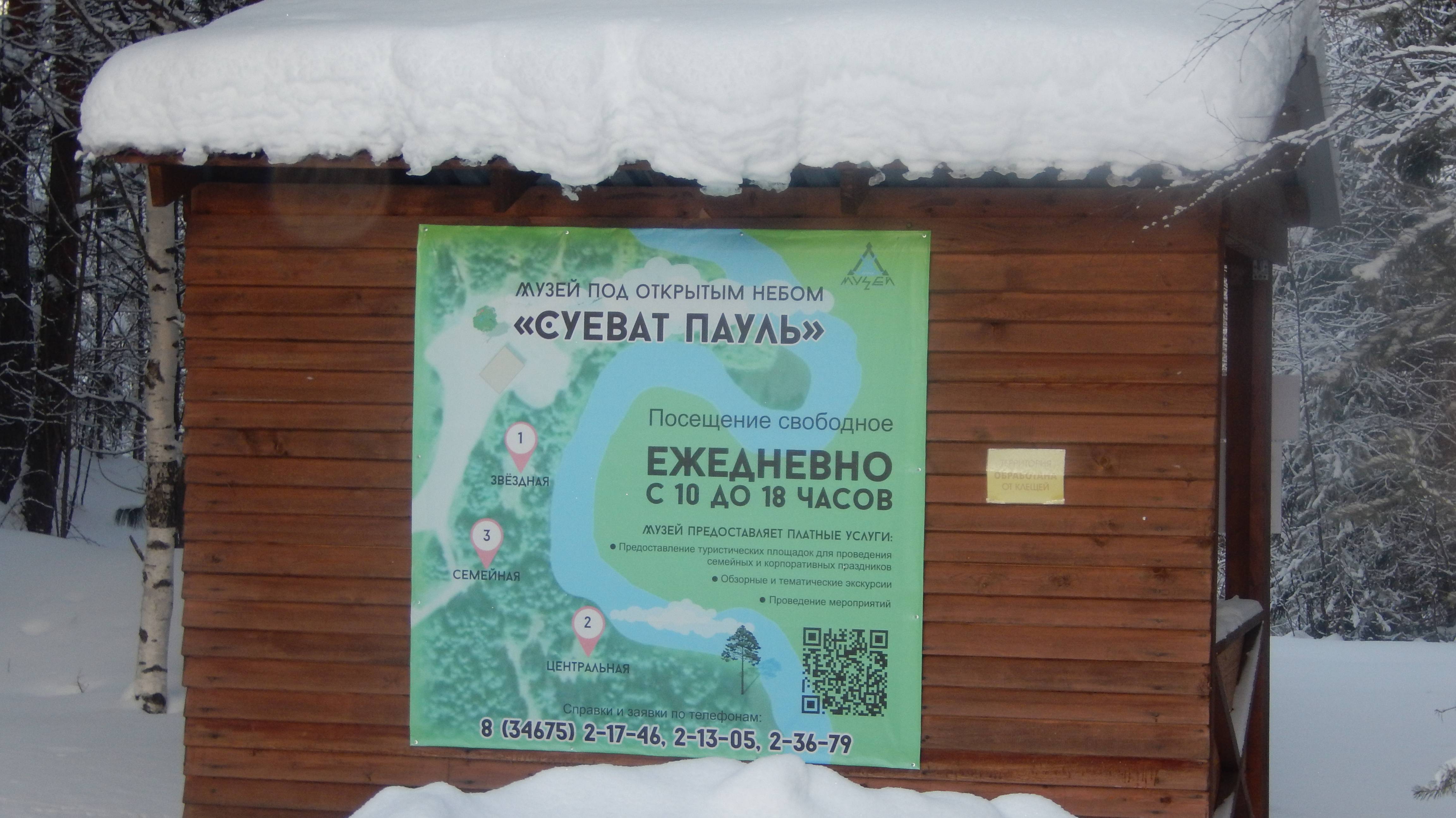 Посмотрите на эту красоту... Катание на северных собаках.   Западная Сибирь Югорск.  Исполнитель   Е
