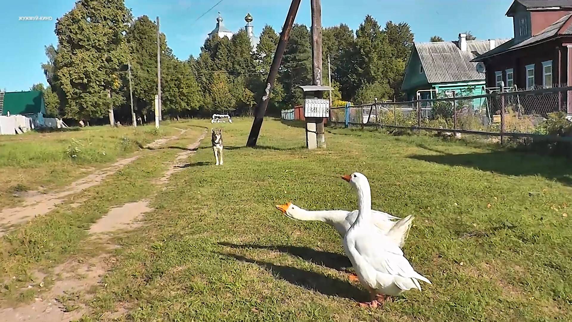 Дух СТРЕЛКИ