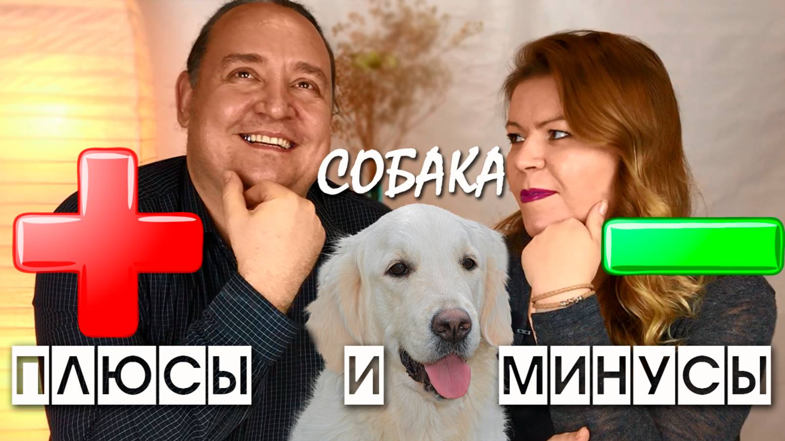 собака в семье плюсы и минусы