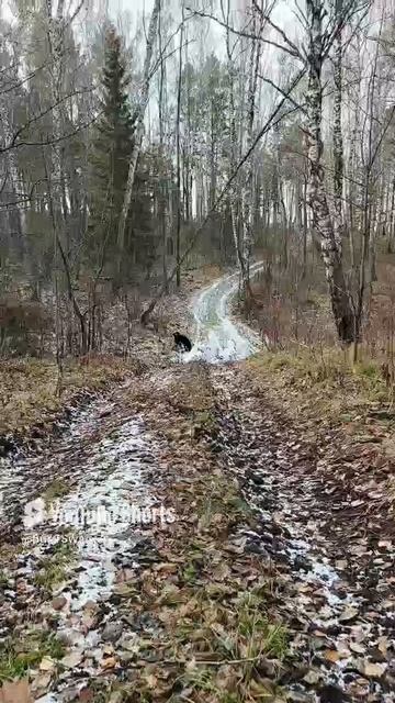Ура!Зима ушел,и снова осень наступила...🙂