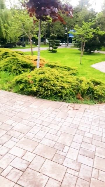 Новороссийск весенний парк