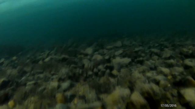 Особенности Коми рыбалки