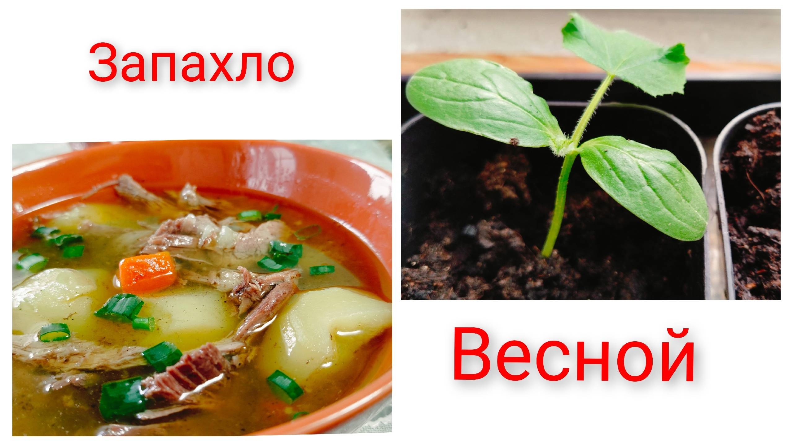 Запахло весной.Готовим дичь.Распланировали.