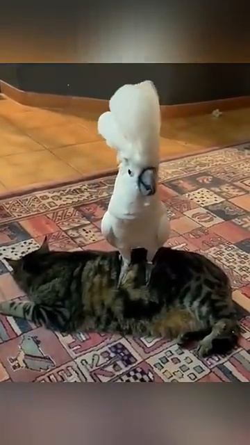 Улыбнитесь