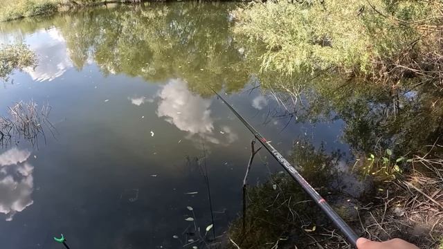 КАРАСЬ КЛЮЕТ ТОЛЬКО ЗАКИНЬ. Рыбалка на поплавок в деревне.