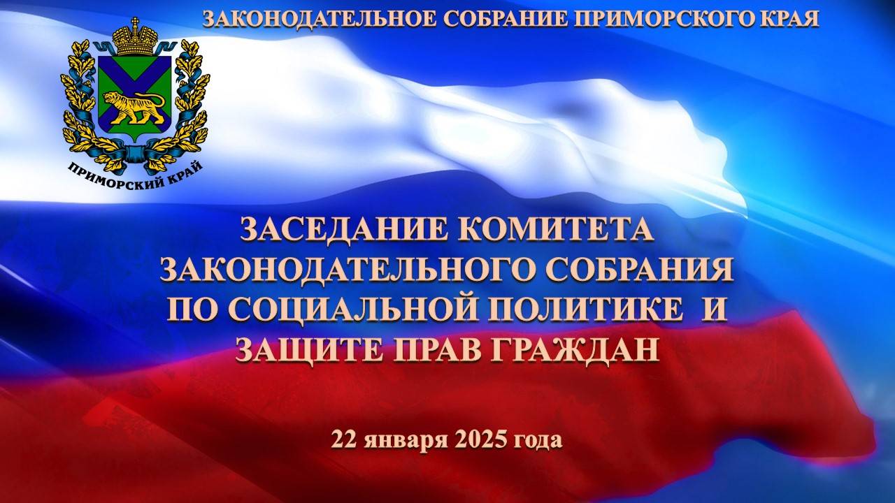 Заседание комитета по социальной политике и защите прав граждан 22.01.2025