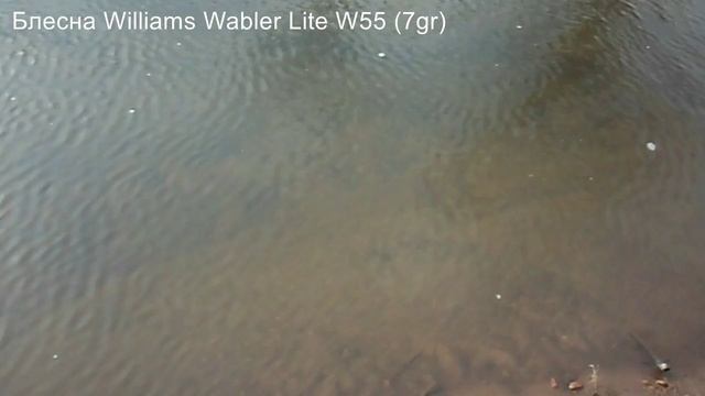 Игра блёсен Williams Wabler Lite W55 и RUBLEX EIRA