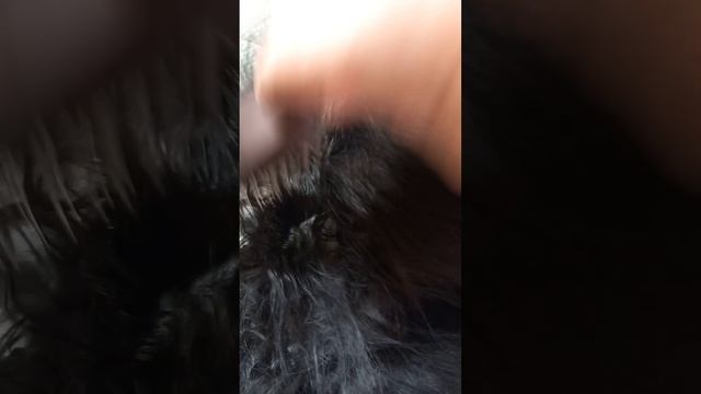 1000071168.mp4
