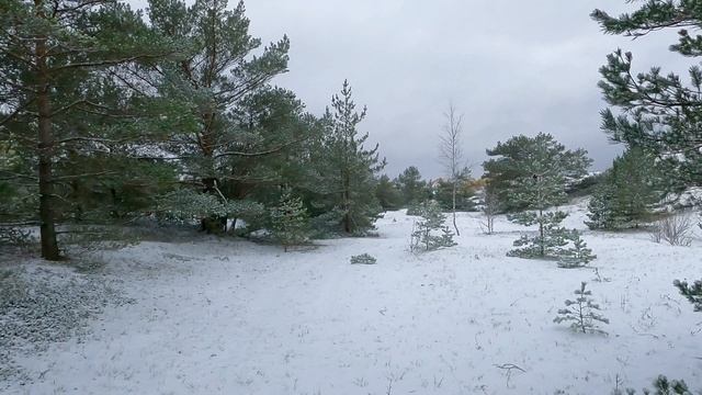 6735030-uhd_3840_2160_30fps