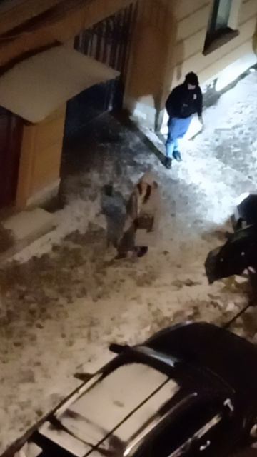 на улице Ропшинская сейчас похоже стреляли, мы испугались