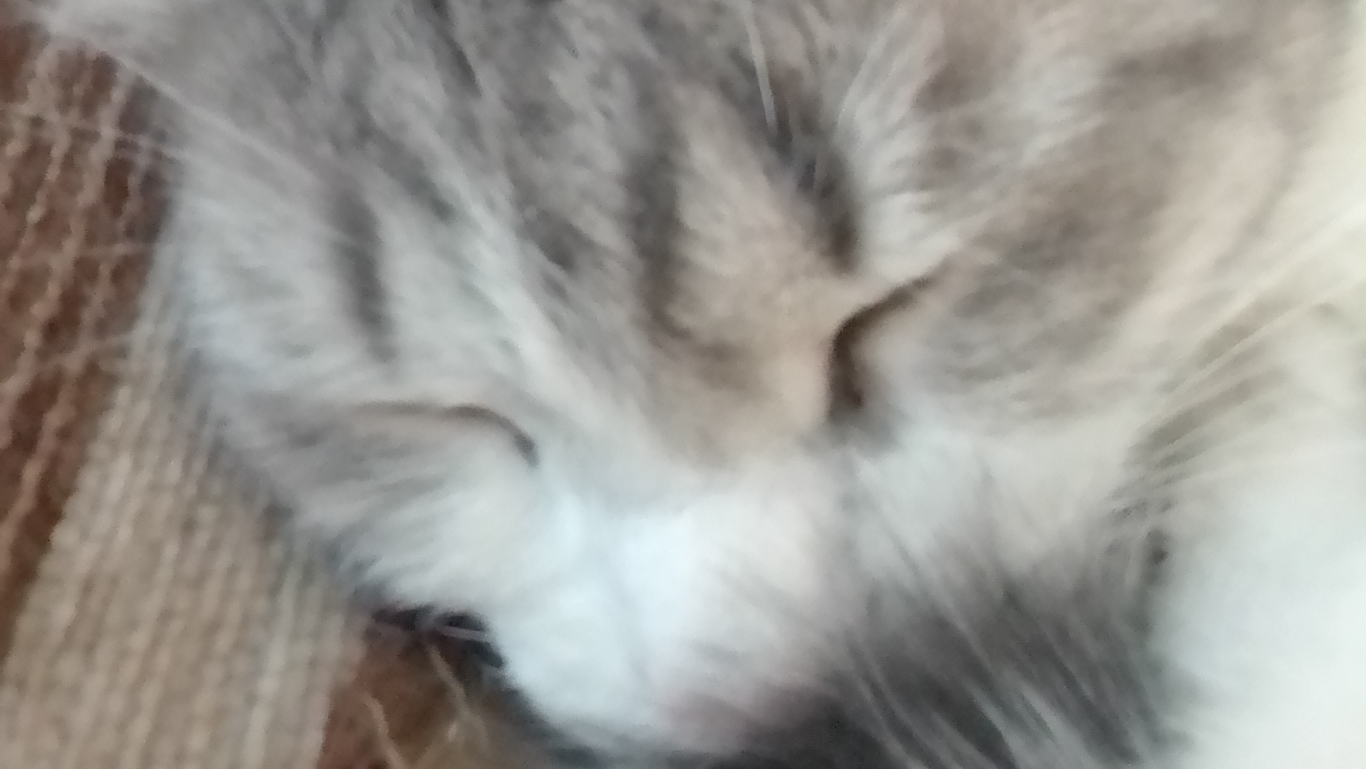 моя первая трансляция