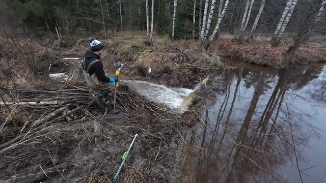 Строительство, прочистка дренажных каналов  что бы лес не превратился в болото