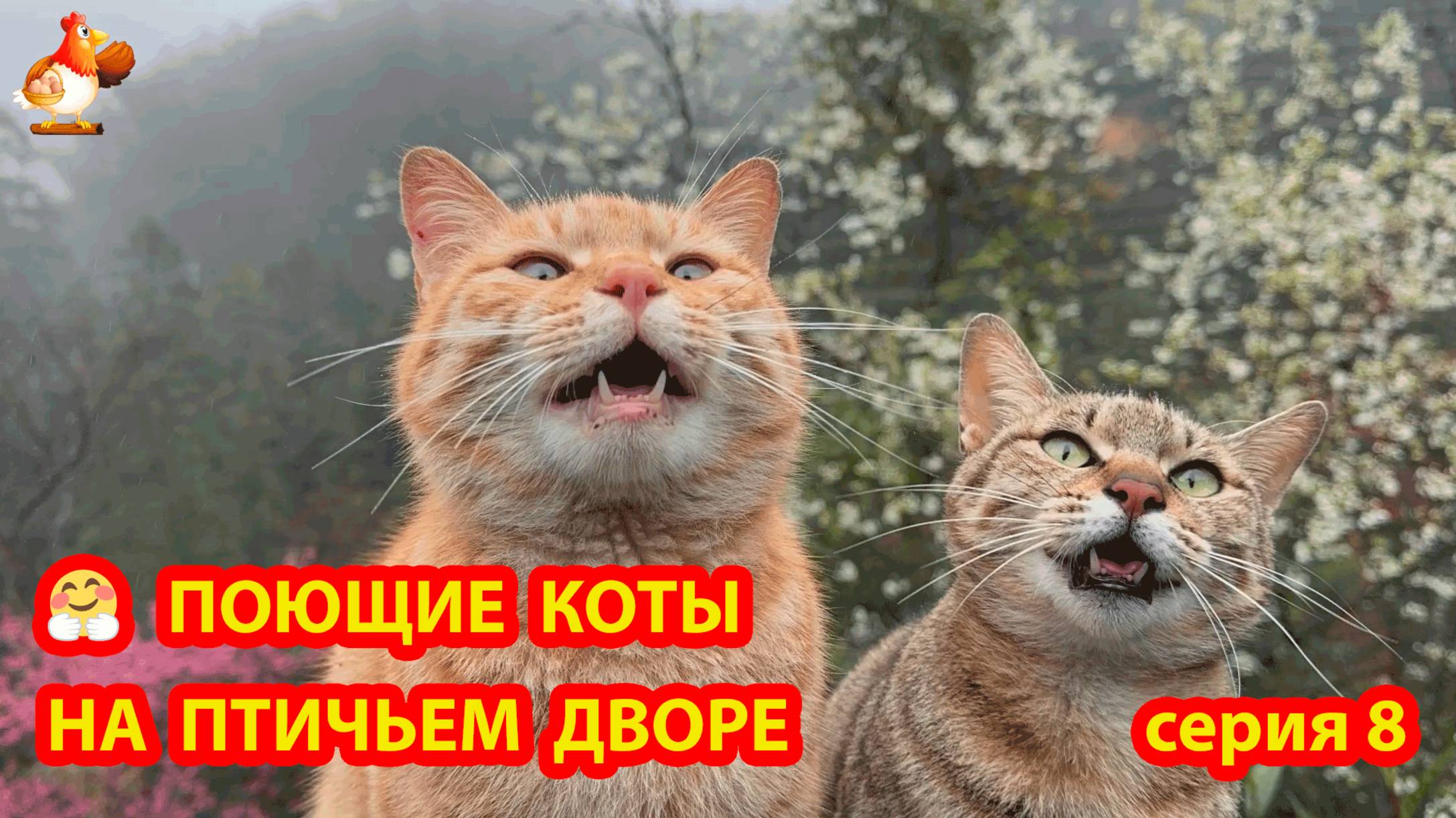 Крутые коты у птичьего двора серия 8 🐈🐈⬛😹 Природа Абхазии и подворье с птицами и животными ❣️