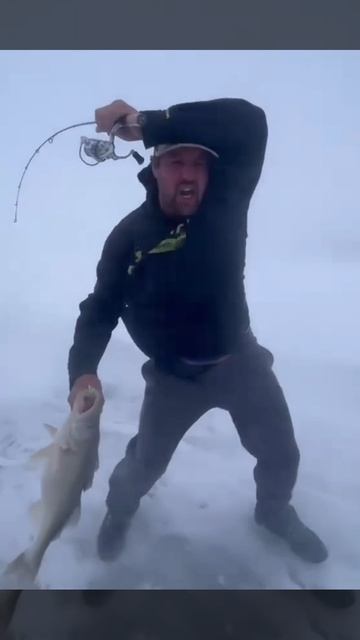 А вот и ещё одного здоровенного судака подвезли! 🎣🦈☃️