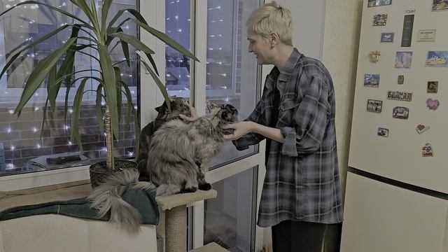 Сняли колпак, все довольны))