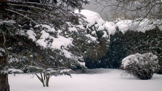 6620286-uhd_4096_2160_25fps