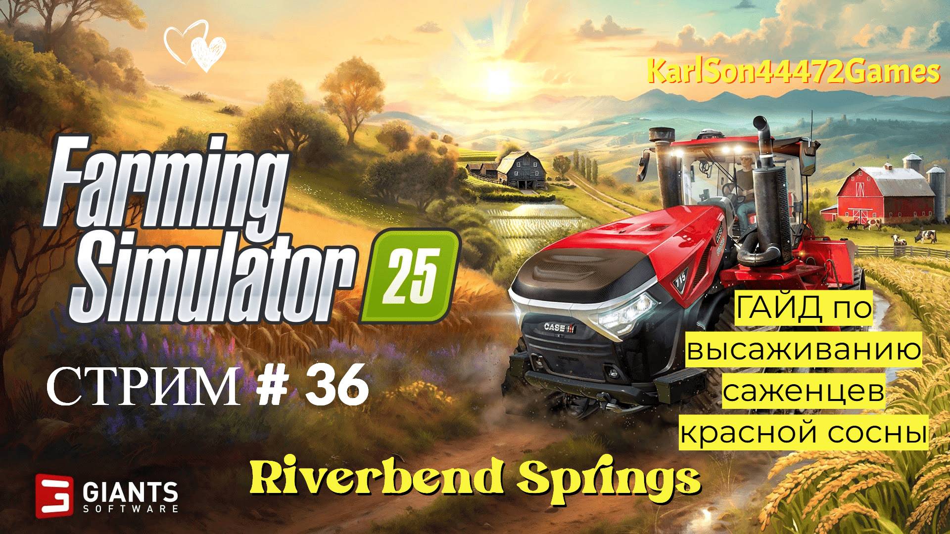 Farming Simulator 25 / Гайд по высаживанию саженцев сосны / СТРИМ . #36