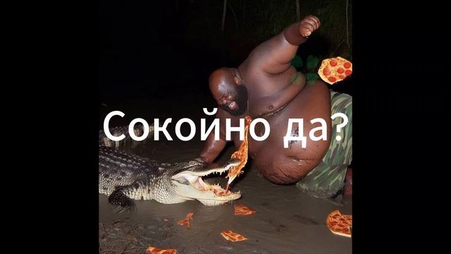 опа опа