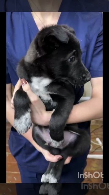 малышам нужен дом