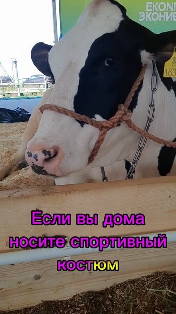 Секрет стройности) #юмор