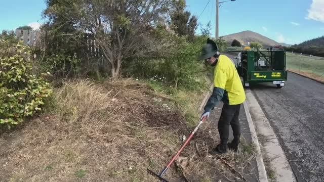 QC_ Overgrown RESCUE  Homeowner was STUNNED Смотрим как другие работают