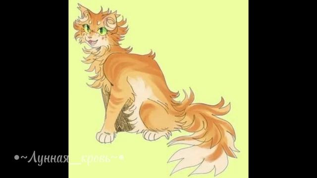 Эдит моему коту||•~Лунная_кровь~•