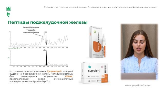Пептиды регуляторы функций клеток  Пептидная регуляция направленной дифференцировки клеток