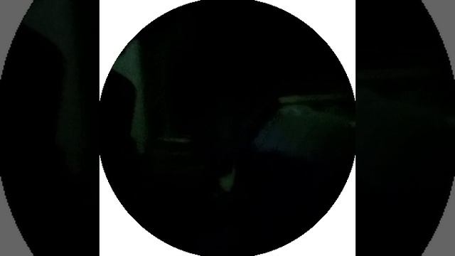 22-01-2025