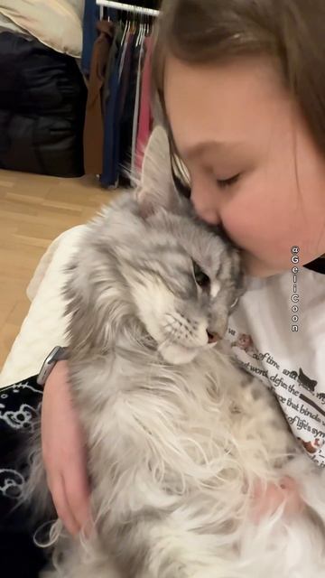 Мурчащее счастье на ручках 🐾💖