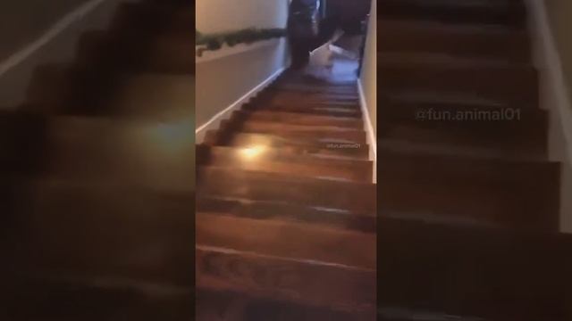 У каждой своя чудина