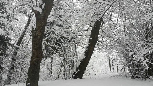 6904288-hd_1920_1080_30fps