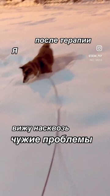 Вижу проблему насквозь ✊ #гештальттерапия #психологпитер #гештальт_терапия