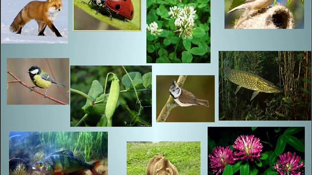 Книга ЖИЗНЬ МИР МЕРТВЫХ ЧАСТЬ 8 МИР ЖИВЫХ