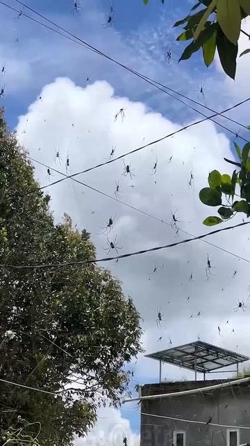 Добро пожаловать на Бали