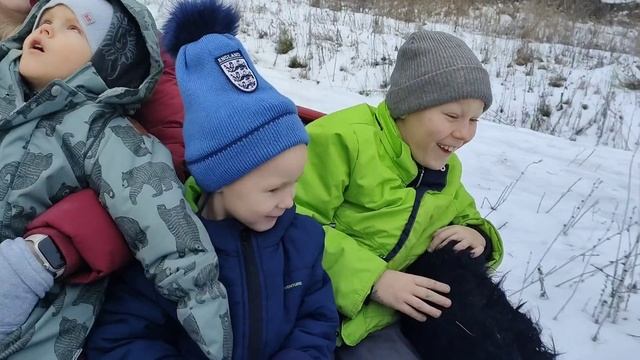 Павел Поляков Новогоднее Поздравление