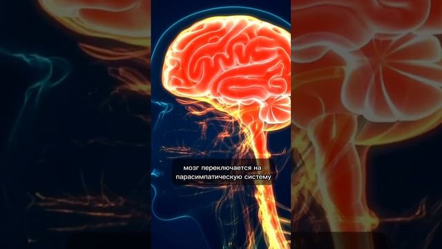 Почему тело и эмоции связаны?