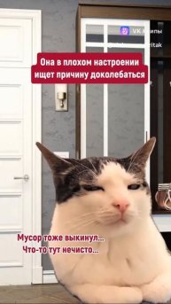 clip227946843_456239112